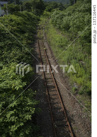 田舎の廃線になった線路 137116445