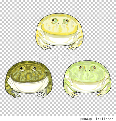 三種預算青蛙 137117727