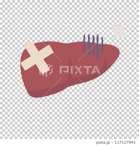Illustration of an unhealthy-looking liver with a bandage attached Illustration of an unhealthy-looking liver with a bandage attached 137117943