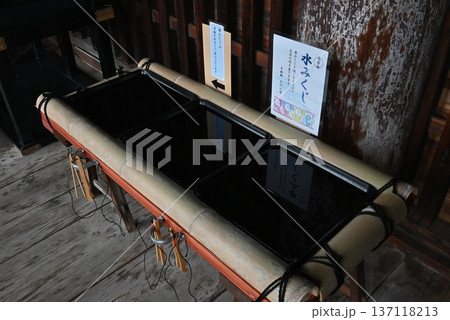 奈良の当麻寺の水みくじ 奈良の当麻寺の水みくじ 137118213