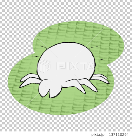 畳にいるダニのイラスト 137118294