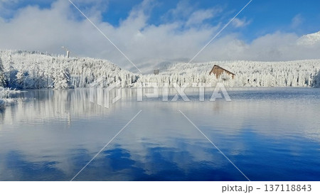 Lake surrounded by snow-covered trees reflecting in the water 137118843