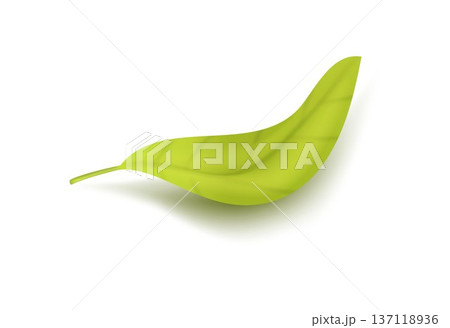 Curved Green Leaf Floating Realistic Vector Illustration 137118936
