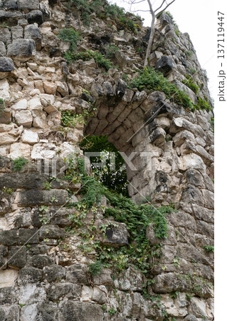 Arched stone window in fortress wall of Anacopia fortress in Abkhazia with visible masonry and ivy growth, Historic architectural detail suitable for tourism marketing, heritage education 137119447
