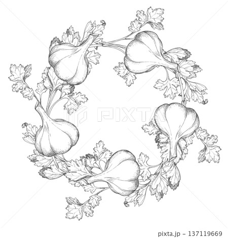Wreath of the tomatoes, parsley, green onion and garlic. Vector ink styled handmade illustration. For packaging design, cards, cover, prints, product labels and fabric. Wreath of the tomatoes, parsley, green onion and garlic. Vector ink styled handmade illustration. For packaging design, cards, cover, prints, product labels and fabric. 137119669