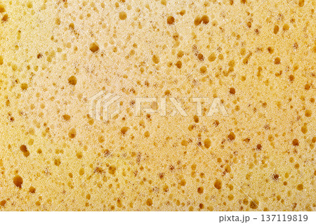 Yellow sponge texture showing porous cell structure 137119819