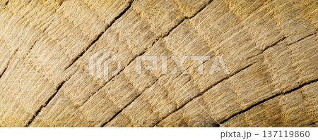 Rough wooden surface showing natural oak wood grain texture Rough wooden surface showing natural oak wood grain texture 137119860