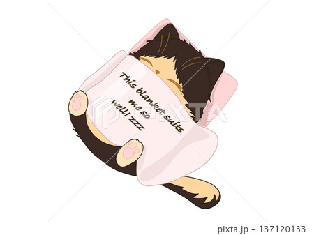 cute cat sleeps under the blanket and says how it suits him cute cat sleeps under the blanket and says how it suits him 137120133
