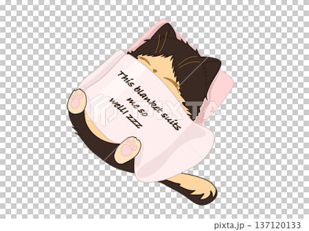 cute cat sleeps under the blanket and says how it suits him cute cat sleeps under the blanket and says how it suits him 137120133