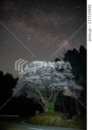 おまき桜と天の川 おまき桜と天の川 137120986