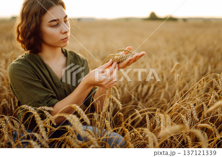 Woman farmer works in a ripe wheat field and inspects the crop. Agricultural management. Woman farmer works in a ripe wheat field and inspects the crop. Agricultural management. 137121339