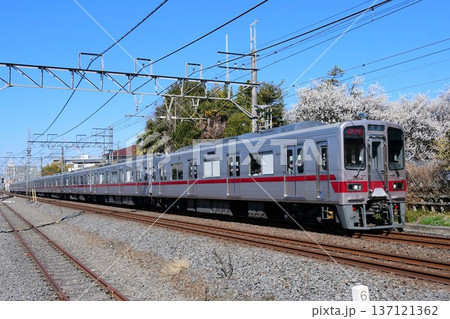 梅の花を背景に走る東武30000系31614 F 137121362