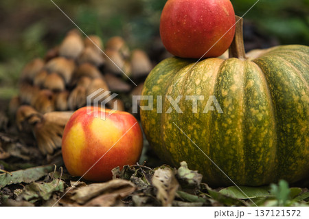 Fresh autumn harvest still life with a green pumpkin surrounded by red apples on the ground. Fresh autumn harvest still life with a green pumpkin surrounded by red apples on the ground. 137121572