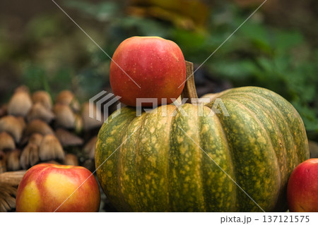 Fresh autumn harvest still life with a green pumpkin surrounded by red apples on the ground.  137121575