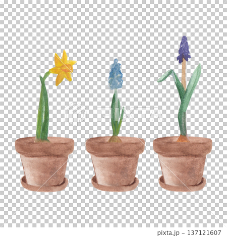 Watercolor garden , country farm gardening, clipart, rusty element, watering can, flower pot ,green rubber boots ,spring flowers , isolate Watercolor garden , country farm gardening, clipart, rusty element, watering can, flower pot ,green rubber boots ,spring flowers , isolate 137121607