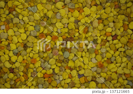 Close-up of natural bee pollen granules in vibrant yellow and orange tones, showcasing their organic texture. Close-up of natural bee pollen granules in vibrant yellow and orange tones, showcasing their organic texture. 137121665
