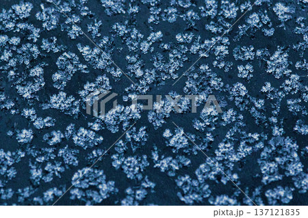 Abstract winter frost texture with delicate ice crystal patterns on a frozen surface. Natural icy background with snowflake-like details, perfect for seasonal designs, cold weather concepts 137121835
