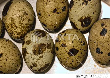 Top view of fresh speckled quail eggs arranged in a circle inside a metal bowl. Rustic food background showing organic farm produce, cooking ingredients, and healthy nutrition concept. Top view of fresh speckled quail eggs arranged in a circle inside a metal bowl. Rustic food background showing organic farm produce, cooking ingredients, and healthy nutrition concept. 137121958