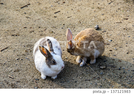 なかよし 137121983