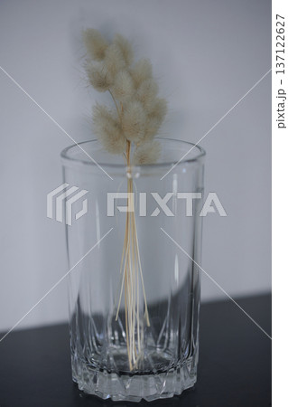 Soft minimalist still life featuring delicate dried bunny tail grass in a glass container with dreamy bokeh and shallow depth of field. 137122627