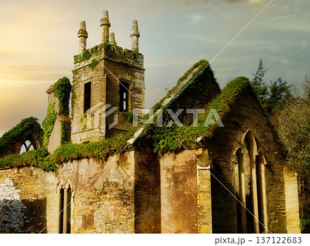Old church ruins with green plants against a cloudy sky. Moss grows on an abandoned buildings roof. Old church ruins with green plants against a cloudy sky. Moss grows on an abandoned buildings roof. 137122683