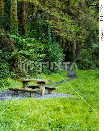 A rustic wooden picnic table and benches sit on a gravel patch beside a winding path. Lush green grass leads into a dense, verdant forest on a bright day. A rustic wooden picnic table and benches sit on a gravel patch beside a winding path. Lush green grass leads into a dense, verdant forest on a bright day. 137122707