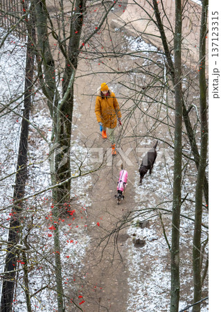 top view of person in an orange jacket walking with two dogs. walking with pets in cold season. top view of person in an orange jacket walking with two dogs. walking with pets in cold season. 137123315