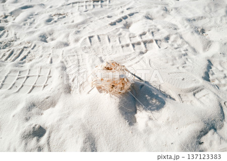 ホワイトサンズ6 ホワイトサンズ6 137123383