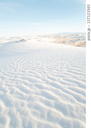 ホワイトサンズ52 137123565