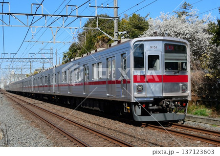 梅の花を背景に走る東武9050型9151F 137123603