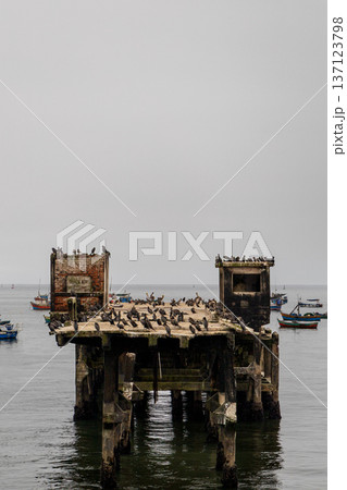 A pier with a lot of birds on it A pier with a lot of birds on it 137123798