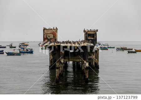 A pier with a lot of birds on it A pier with a lot of birds on it 137123799