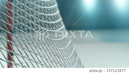 Close-up detail of an ice hockey goal net inside an indoor rink, with shallow depth of field and blurred background, capturing sports atmosphere and texture of the net mesh. 137123877