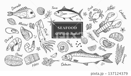 Hand drawn vector seafood set with salmon, dorado, squid, shrimp, mussel, oyster, scallop, lobster and fillets. Vintage line art marine food collection with lettering for menu, packaging, restaurant Hand drawn vector seafood set with salmon, dorado, squid, shrimp, mussel, oyster, scallop, lobster and fillets. Vintage line art marine food collection with lettering for menu, packaging, restaurant 137124379