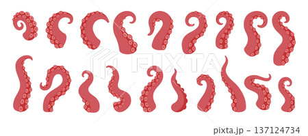 Squid tentacles with suction cups. Curved octopus arms for marine life, fantasy sea monster and nautical design themes 137124734
