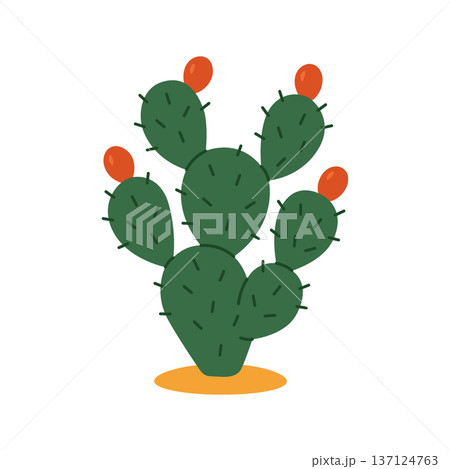 Nopal cactus with red fruits. Flat vector prickly pear illustration for Mexican nature, agriculture, or food designs 137124763