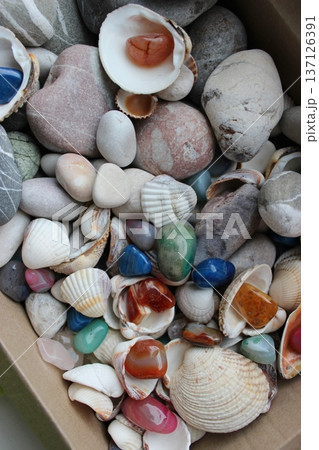 Cardboard Tray With Rough Multi Colored Mineral Stones, Variety Shells And Sea Stones   137126391