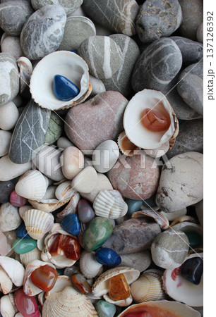 Decorative colored quartz stones mixed with pebbles and seashells photo for stones backgrounds 137126392