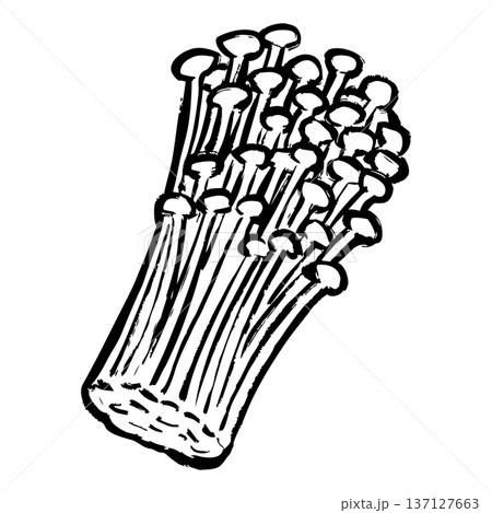 えのきの線画イラスト 137127663