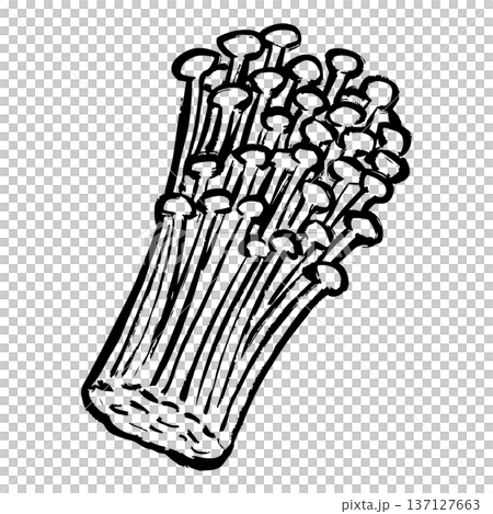 えのきの線画イラスト 137127663