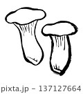 エリンギの線画イラスト 137127664