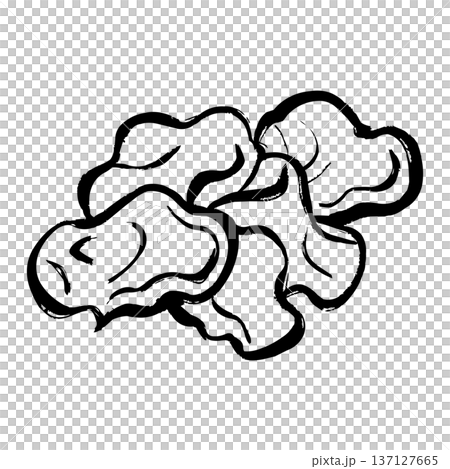 キクラゲの線画イラスト 137127665