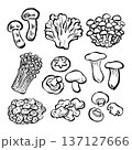 きのこの線画イラストセット 137127666
