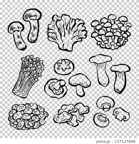 Mushroom line drawing illustration set 137127666