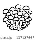しめじの線画イラスト 137127667