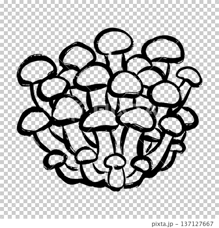 Line drawing illustration of shimeji Line drawing illustration of shimeji 137127667