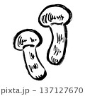 松茸の線画イラスト 137127670