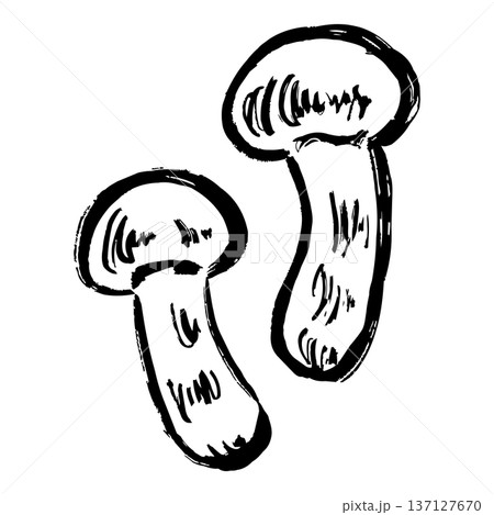 松茸の線画イラスト 137127670
