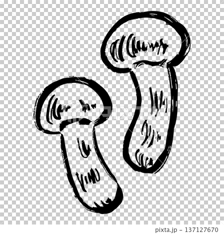 松茸の線画イラスト 137127670