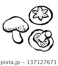 しいたけの線画イラスト 137127671